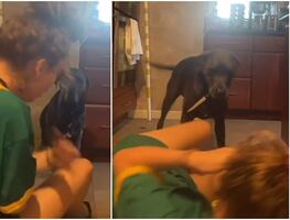 Video. Perro reacciona a alerta falsa de asfixia de su dueña