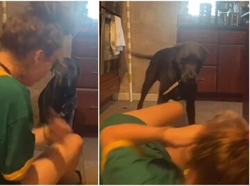 Video. Perro reacciona a alerta falsa de asfixia de su dueña