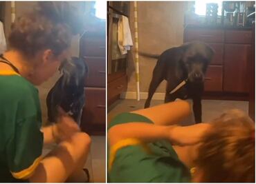 Video. Perro reacciona a alerta falsa de asfixia de su dueña