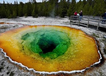 ¿Por qué deberías visitar Yellowstone en primavera?