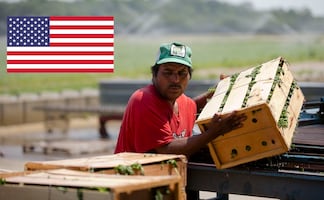 Lista de elegibles para solicitar visa de trabajo en EU (campo y oficios)