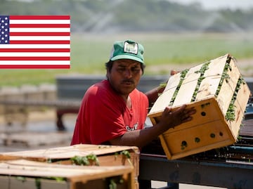 Lista de elegibles para solicitar visa de trabajo en EU (campo y oficios)