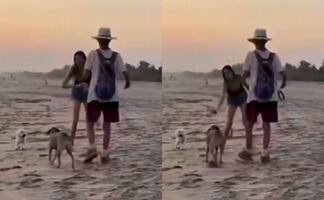 Turista extranjera agrede con botella a perrito mestizo en playa de Oaxaca y desata indignación. VIDEO
