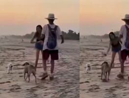Turista extranjera agrede con botella a perrito mestizo en playa de Oaxaca y desata indignación. VIDEO