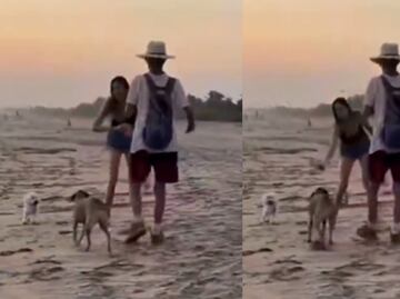 Turista extranjera agrede con botella a perrito mestizo en playa de Oaxaca y desata indignación. VIDEO