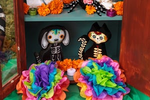 Día de Muertos 2023: ¿Cuándo se pone la ofrenda a los perritos y gatitos? ¿Qué se deja a nuestras mascotas?