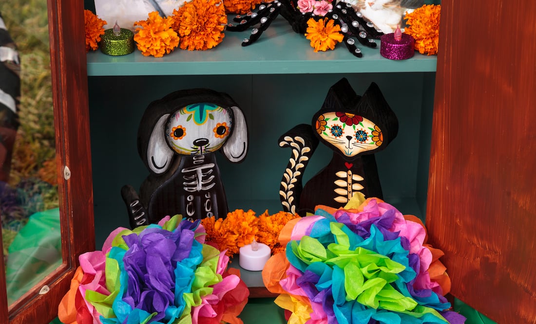 Ofrenda para mascotas 2023. iStock/:LagunaticPhoto