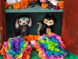 Día de Muertos 2023: ¿Cuándo se pone la ofrenda a los perritos y gatitos? ¿Qué se deja a nuestras mascotas?