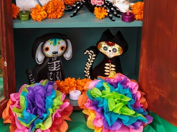 Día de Muertos 2023: ¿Cuándo se pone la ofrenda a los perritos y gatitos? ¿Qué se deja a nuestras mascotas?