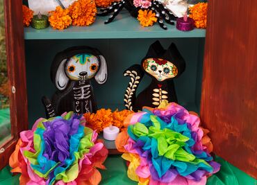 Día de Muertos 2023: ¿Cuándo se pone la ofrenda a los perritos y gatitos? ¿Qué se deja a nuestras mascotas?