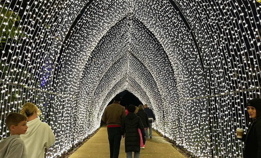 Diana Espinoza / Vive USA