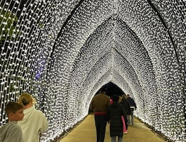 10 atracciones que harán de Texas uno de tus destinos favoritos para Navidad