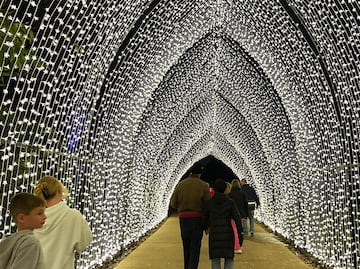 10 atracciones que harán de Texas uno de tus destinos favoritos para Navidad