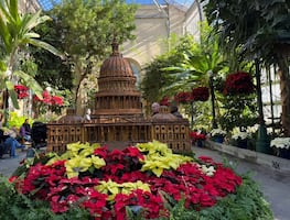 Planes para una Navidad en Washington DC: De experiencias inmersivas a jardines únicos