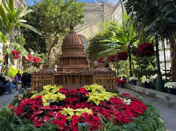 Planes para una Navidad en Washington DC: De experiencias inmersivas a jardines únicos