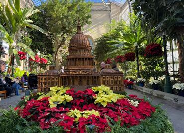 Planes para una Navidad en Washington DC: De experiencias inmersivas a jardines únicos