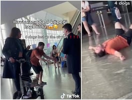 Video. Pasajero estalla en llanto al acusar a aerolínea de perder a sus 4 perros