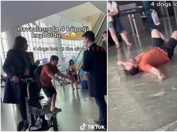 Video. Pasajero estalla en llanto al acusar a aerolínea de perder a sus 4 perros