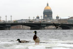 Rusia pone como condición para tregua en el mar Negro, el levantamiento de sanciones agrícolas
