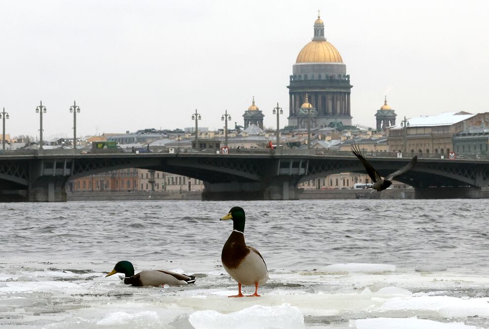 Rusia pone como condición para tregua en el mar Negro, el levantamiento de sanciones agrícolas(Rusia, San Petersburgo) EFE/EPA/ANATOLY MALTSEV