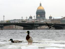 Rusia pone como condición para tregua en el mar Negro, el levantamiento de sanciones agrícolas