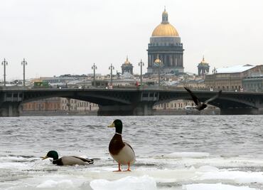 Rusia pone como condición para tregua en el mar Negro, el levantamiento de sanciones agrícolas