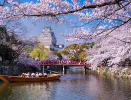 ¡Sin visa a Japón! A partir del 1 de abril, los ciudadanos panameños podrán ingresar libremente