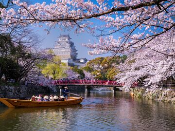 ¡Sin visa a Japón! A partir del 1 de abril, los ciudadanos panameños podrán ingresar libremente