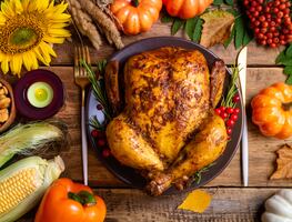 Día de Acción de Gracias: Alimentos prohibidos y permitidos de llevar en el avión