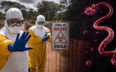 Sin vacuna ni cura: Cómo se contagia y cuáles son los síntomas letales del ébola que encienden las alarmas