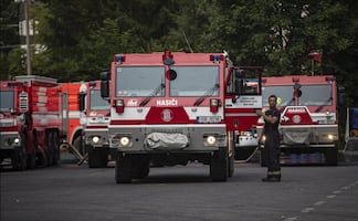 Hombre intenta quemar araña con encendedor y causa incendio forestal