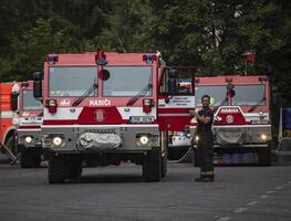 Hombre intenta quemar araña con encendedor y causa incendio forestal