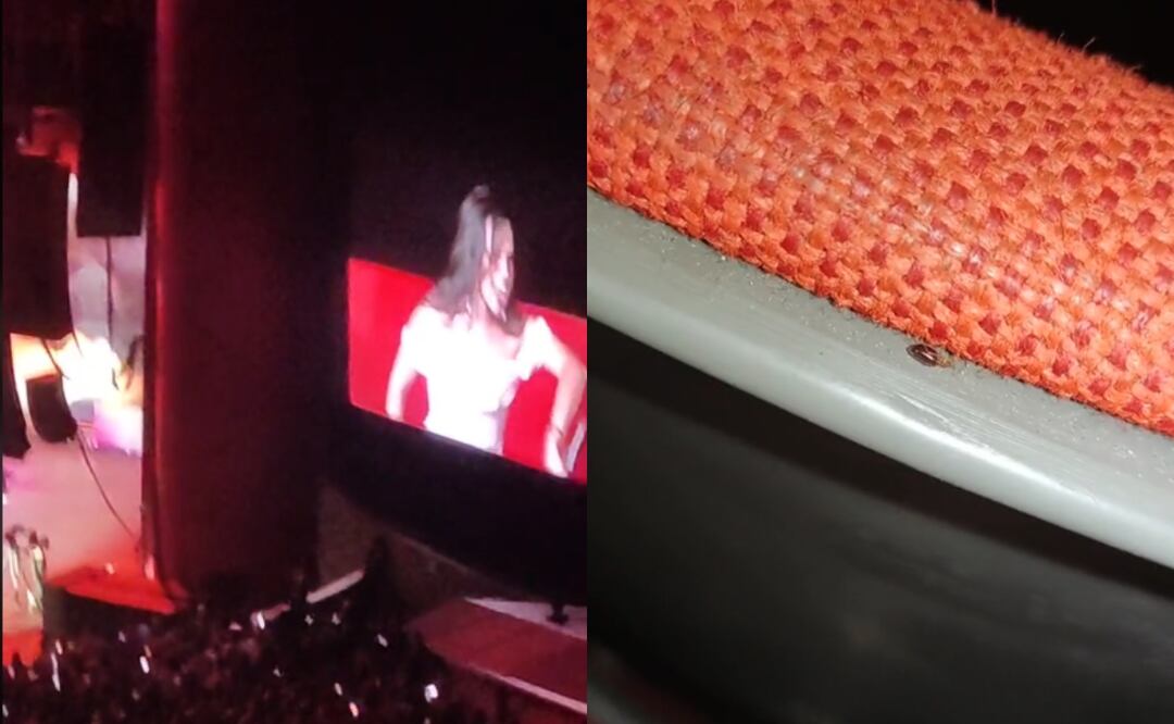 ¡Cuidado! Alertan por presencia de chinches en Auditorio Nacional. VIDEO. Foto: Tomada de TikTok