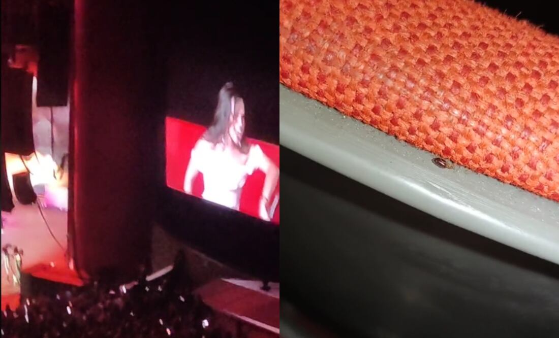 ¡Cuidado! Alertan por presencia de chinches en Auditorio Nacional. VIDEO. Foto: Tomada de TikTok