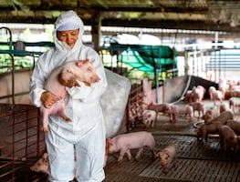 Empresa de Estados Unidos ofrece 41,000 pesos a mexicanos que quieran trabajar en una procesadora de carne