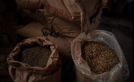 Ucrania prohíbe exportación de granos básicos; África, Asia Medio Oriente temen por escasez de alimentos