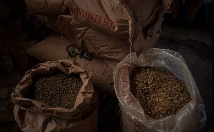 Ucrania prohíbe exportación de granos básicos; África, Asia Medio Oriente temen por escasez de alimentos