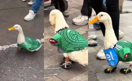 Ni Messi ni Mbappé: Merlín, el pato mexicano que ya llamó la atención de la FIFA
