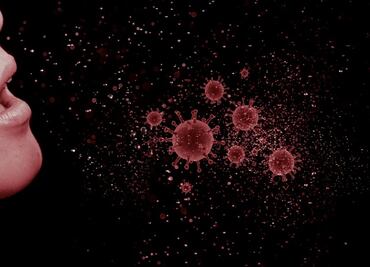 Influenza. ¿Cuándo inicia la jornada de vacunación en México 2022-2023?