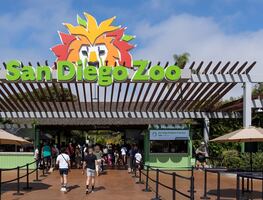 Niños tendrán entrada gratis al Zoológico de San Diego en octubre