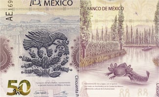 Así es el billete de $50 pesos con el ajolote que se vende hasta en $7 millones de pesos
