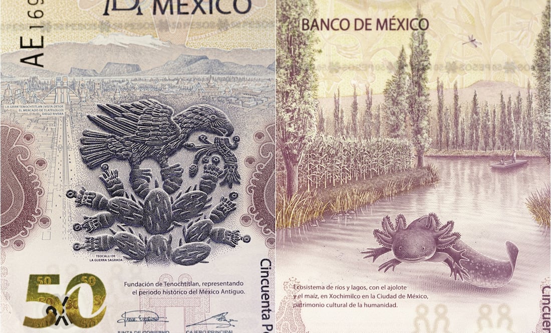 El billete de $50 pesos del ajolote que vale hasta $7 millones de pesos. Foto:  iSTOCK-AmericanWildlife