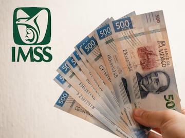Modalidad 40 del IMSS: ¿Cómo aportar semanas cotizadas por tu cuenta y aumentar tu pensión?