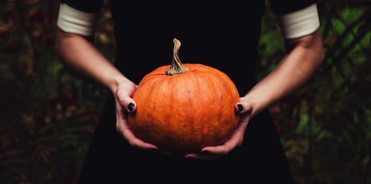 Beneficios a la salud que aporta la calabaza 