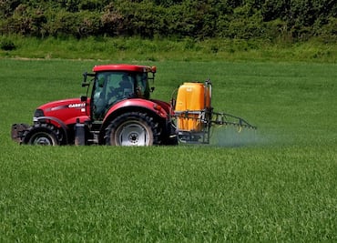 Encuentran sustancias químicas persistentes en fetos