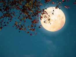 El Cometa del Siglo, la Superluna más brillante del 2024 y lluvias de meteoritos; lo imperdible de octubre