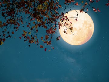 El Cometa del Siglo, la Superluna más brillante del 2024 y lluvias de meteoritos; lo imperdible de octubre