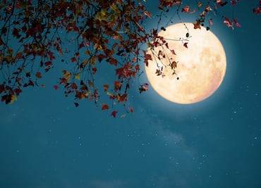 El Cometa del Siglo, la Superluna más brillante del 2024 y lluvias de meteoritos; lo imperdible de octubre