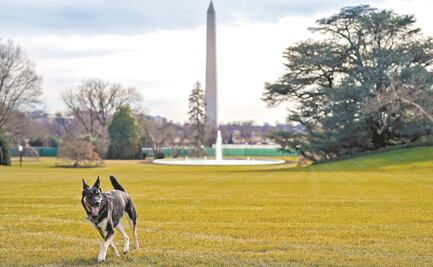 Perros de Biden dejan la Casa Blanca tras ataque a miembro de seguridad