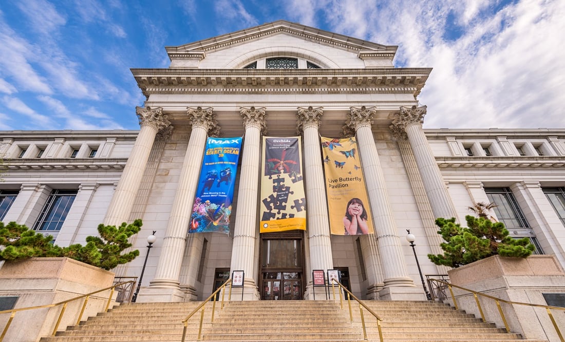 Museo Americano de Historia Natural/ iStock/ SeanPavonePhoto